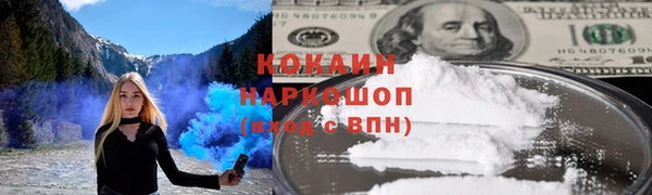 сатива Волоколамск