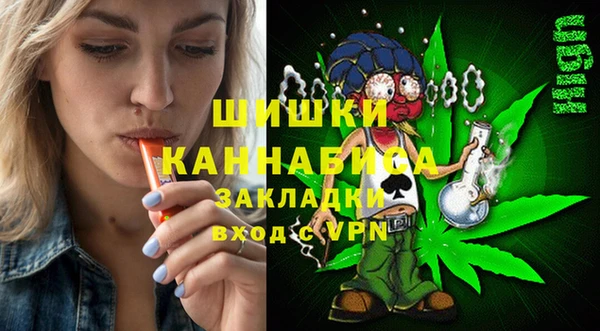 сатива Волоколамск