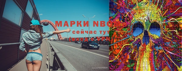 сатива Волоколамск