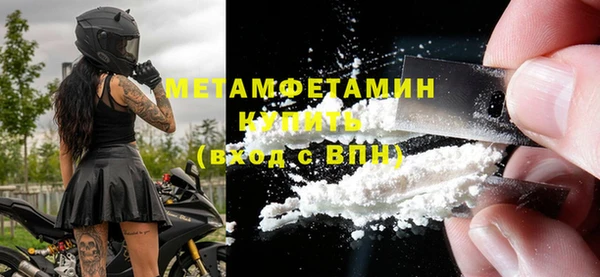 сатива Волоколамск
