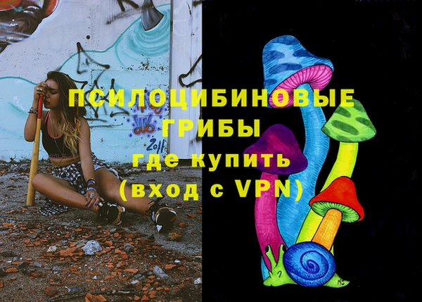 мдпв Володарск