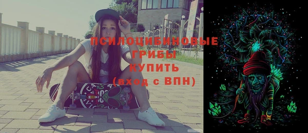 сатива Волоколамск