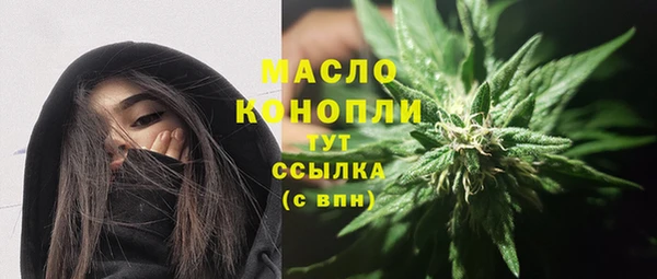 сатива Волоколамск