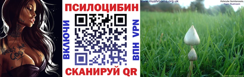 Галлюциногенные грибы ЛСД  Муром 